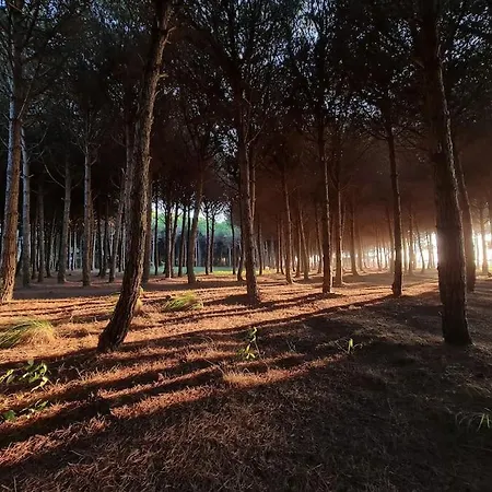 Beautiful In Laguna Apartamento *