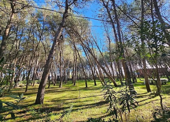 Beautiful In Laguna *