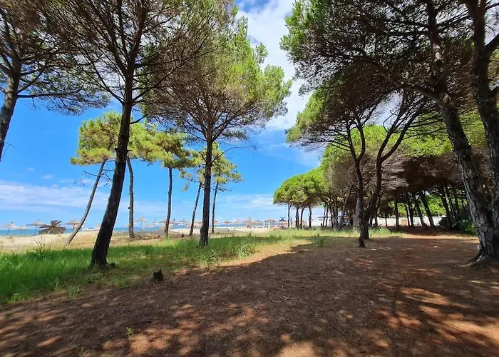 Apartamento Beautiful In Laguna