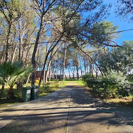 Beautiful In Laguna 公寓 格勒姆