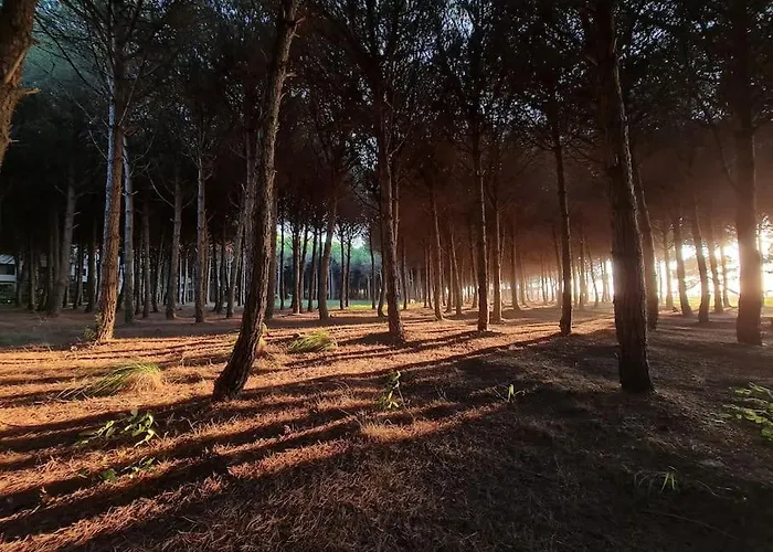 Beautiful In Laguna Apartment *