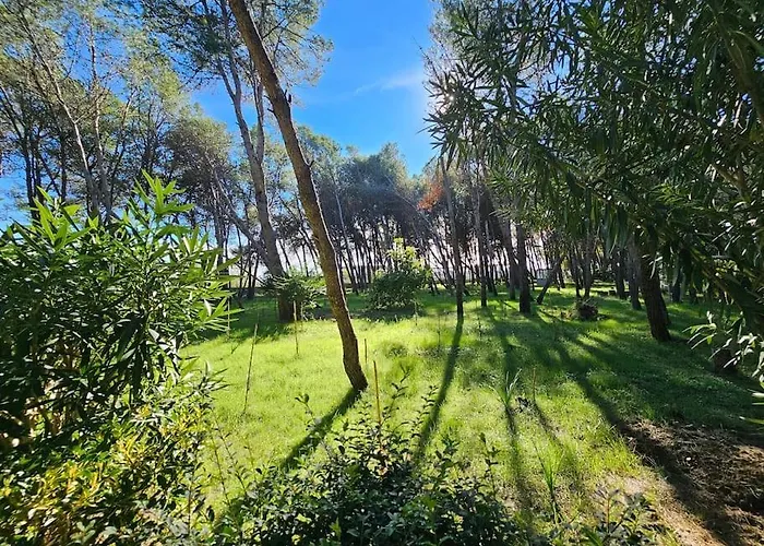 Apartment Beautiful In Laguna Golem (Tirana)